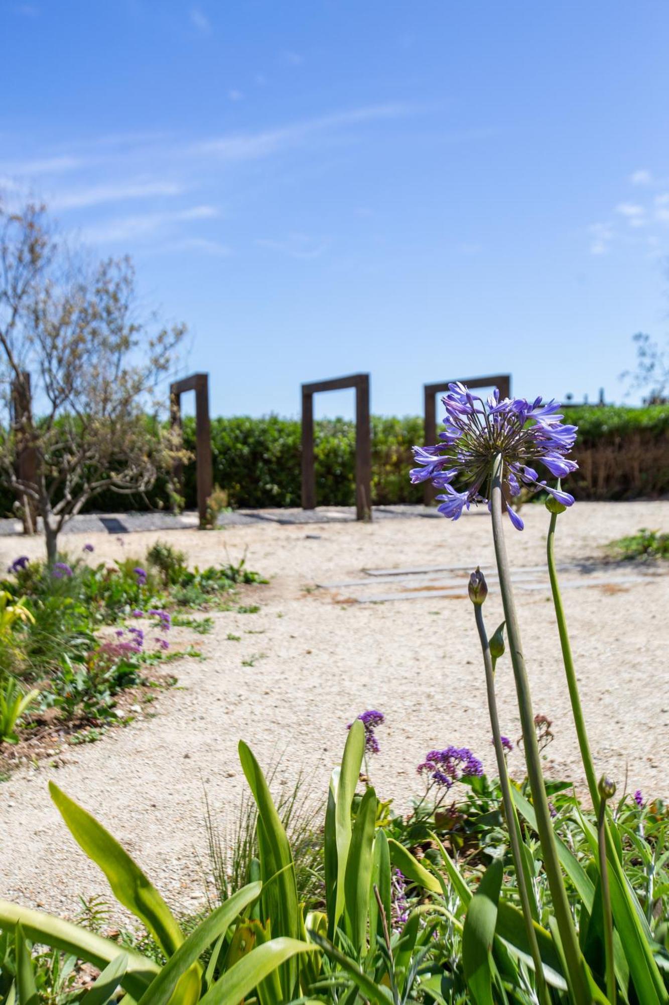 Refugio Lobos Villa Pichilemu Dış mekan fotoğraf