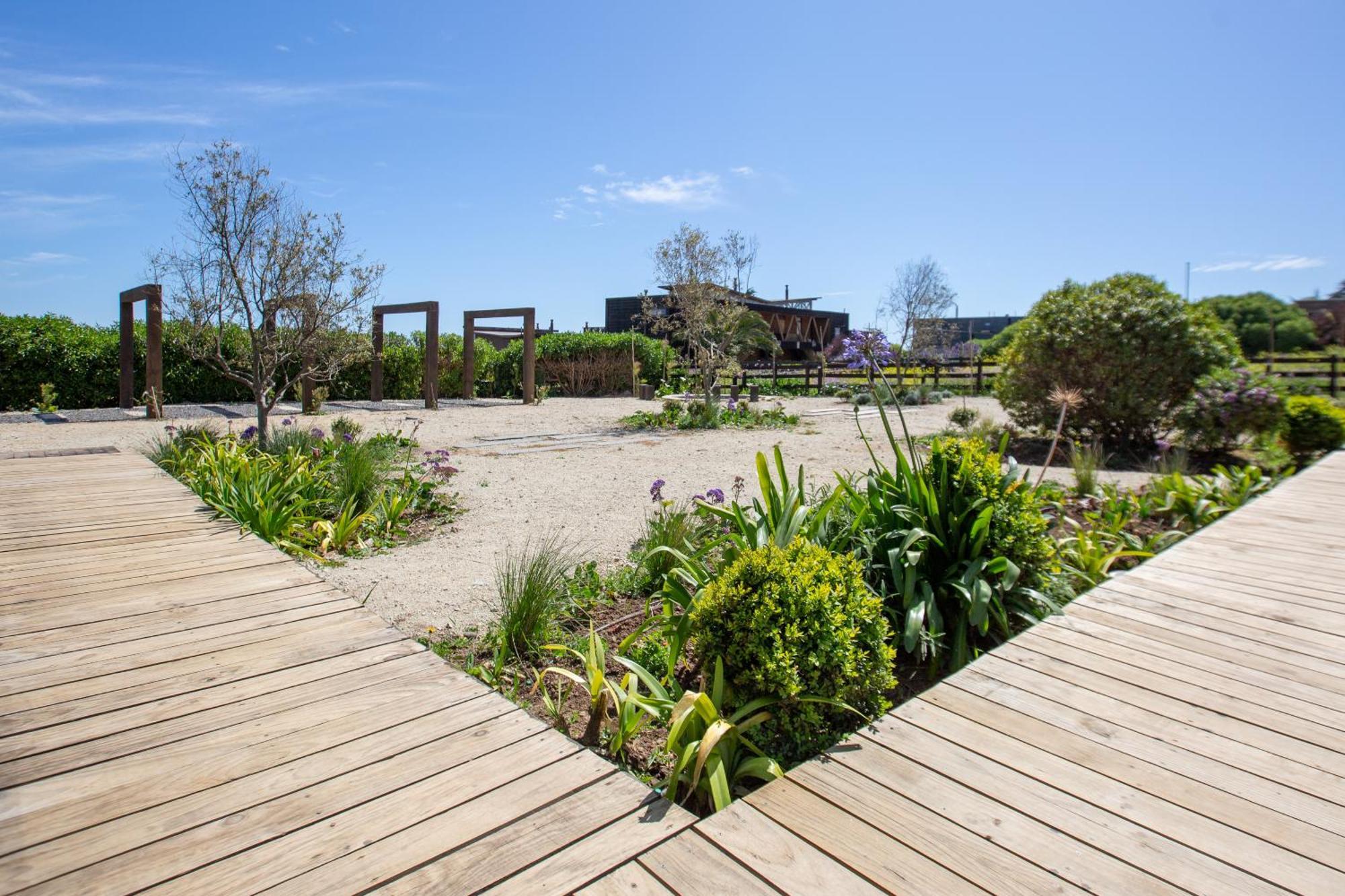 Refugio Lobos Villa Pichilemu Dış mekan fotoğraf